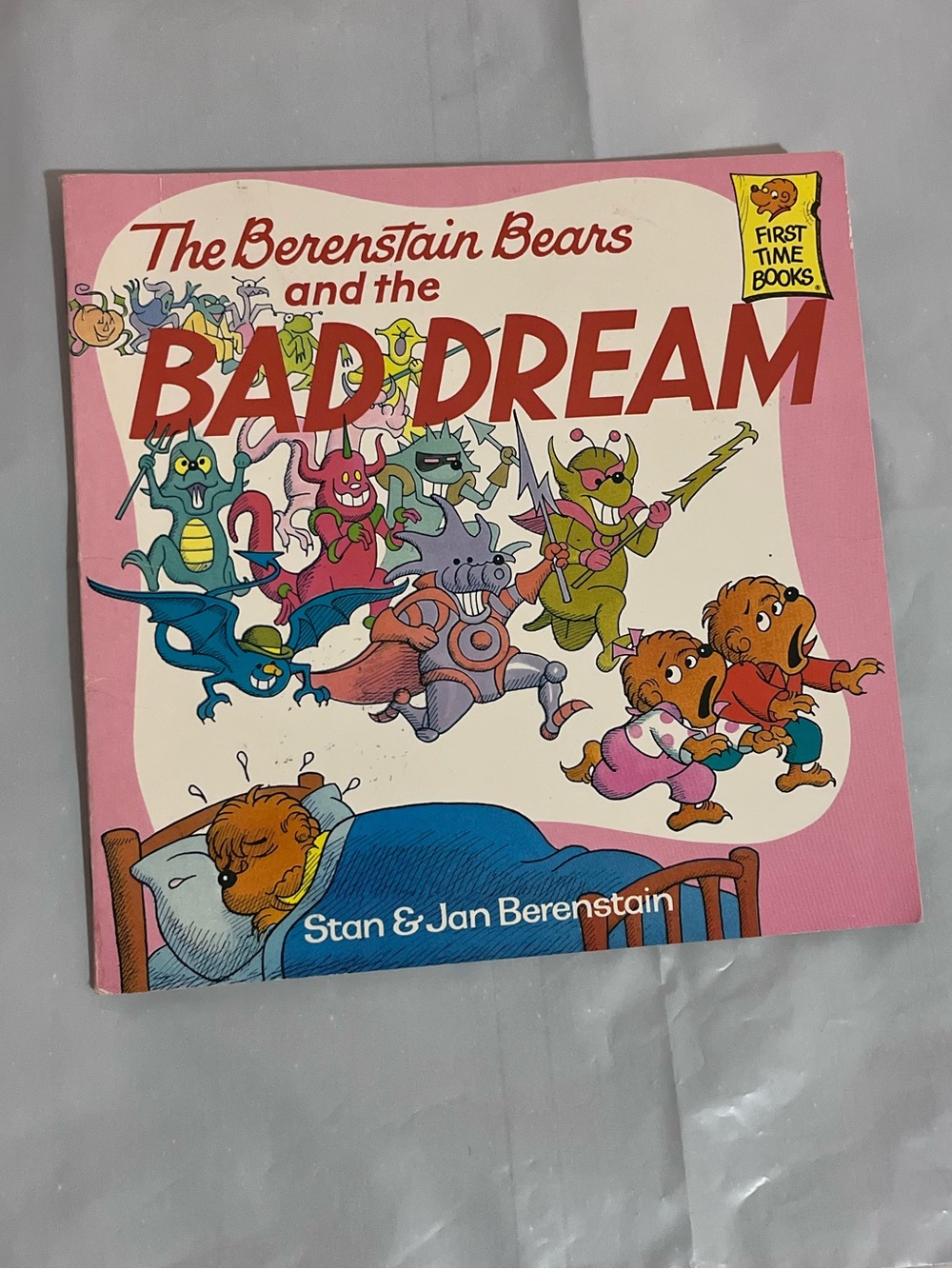 Berenstain Bears and the Bad Dream Children's Book